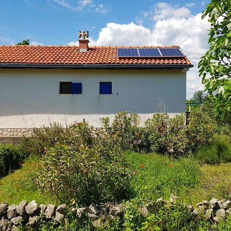 הוילה שילו Ecohouse Oliveglia מראה חיצוני תמונה