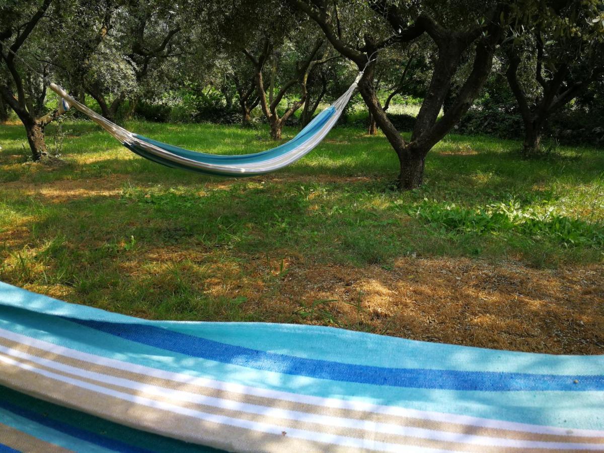 הוילה שילו Ecohouse Oliveglia מראה חיצוני תמונה