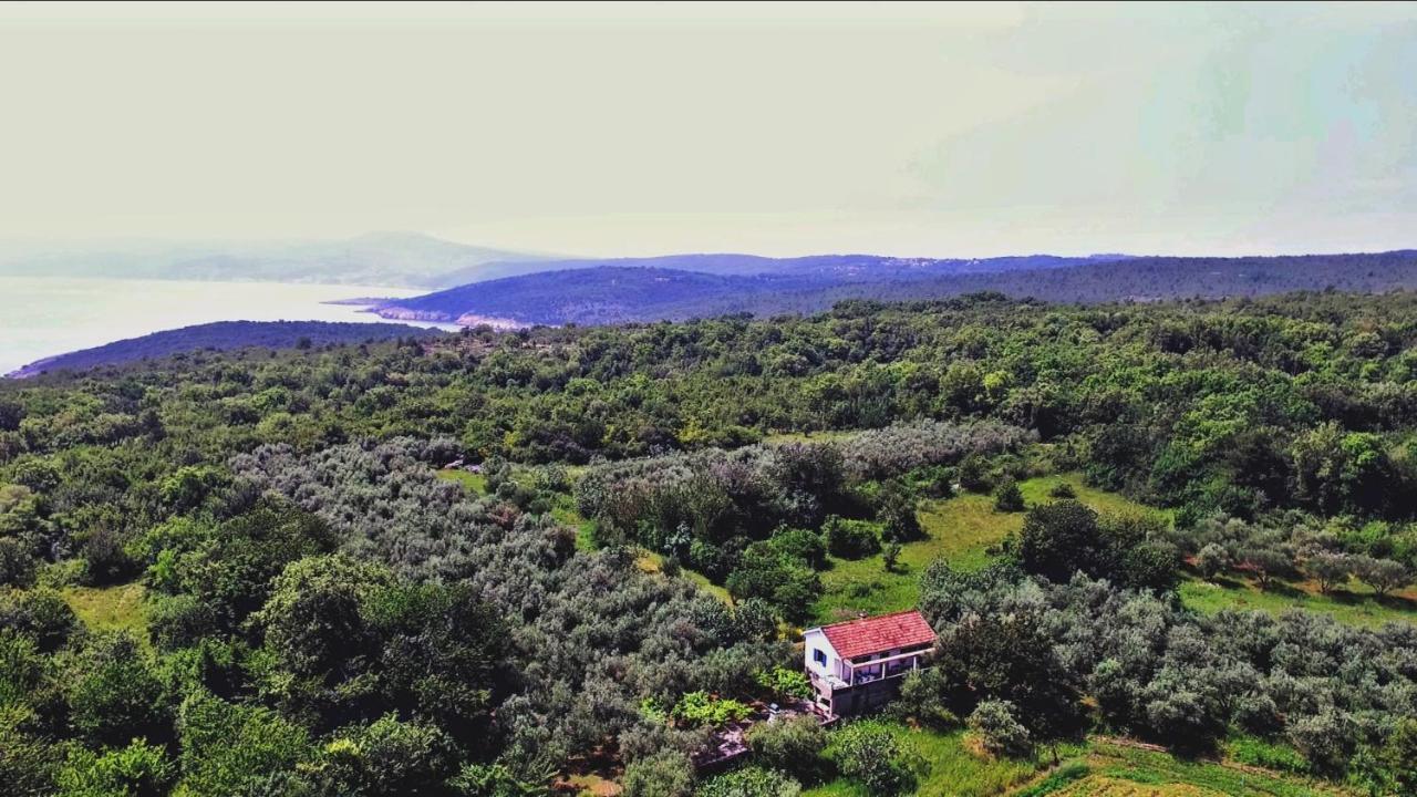 הוילה שילו Ecohouse Oliveglia מראה חיצוני תמונה